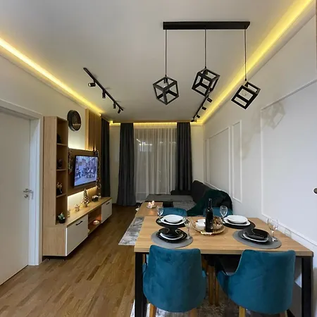 Kovacevic Magnet 公寓 兹拉蒂博尔