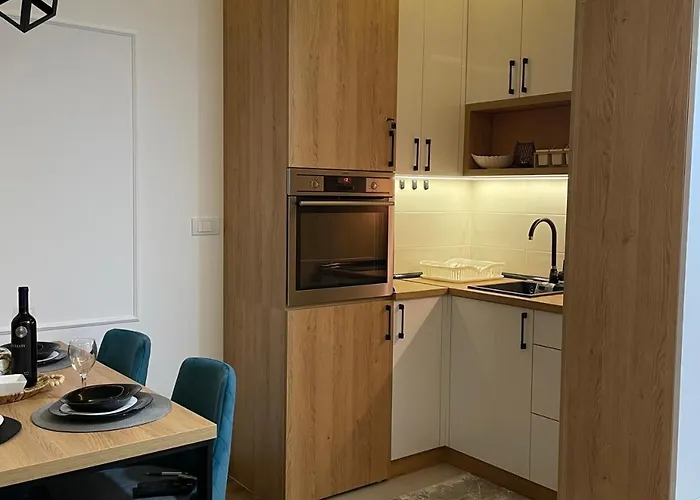 Kovacevic Magnet 즐라티보