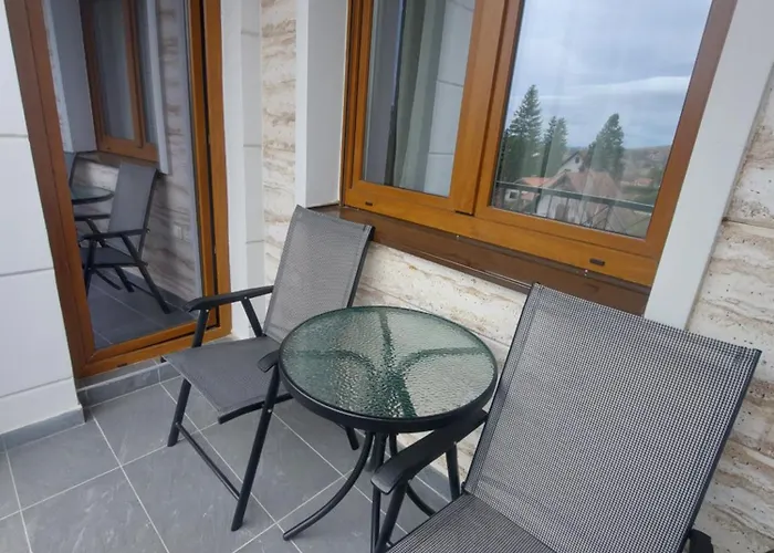 Kovacevic Magnet 즐라티보